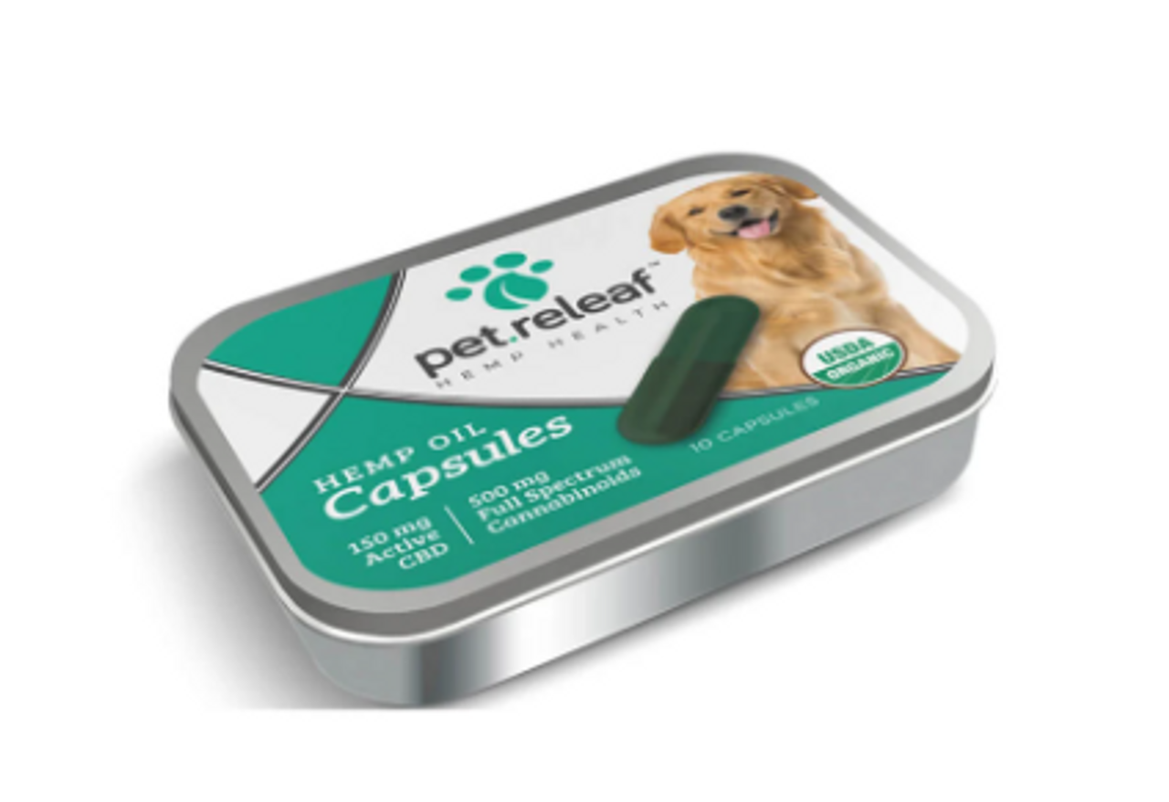 How to Administer CBD Oil to Your Cat